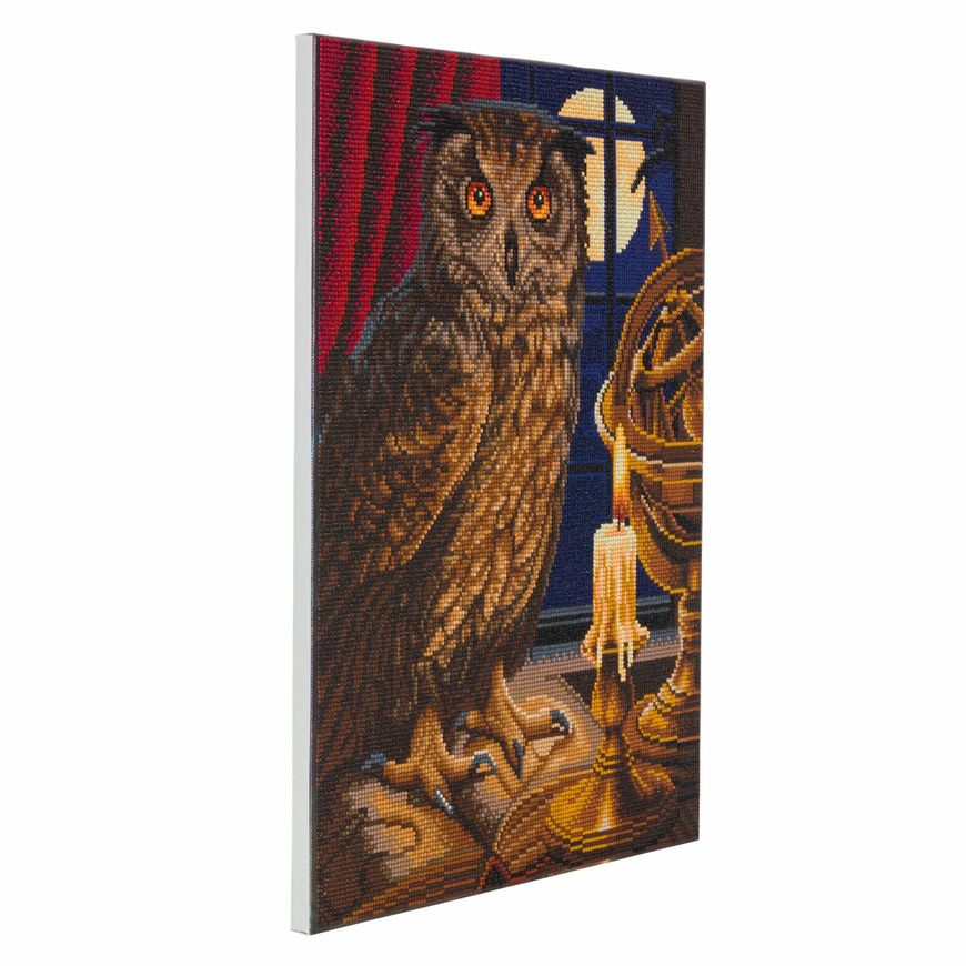 Lisa Parker The Astrologer Owl Framed Crystal Art Kit 40X50cm
