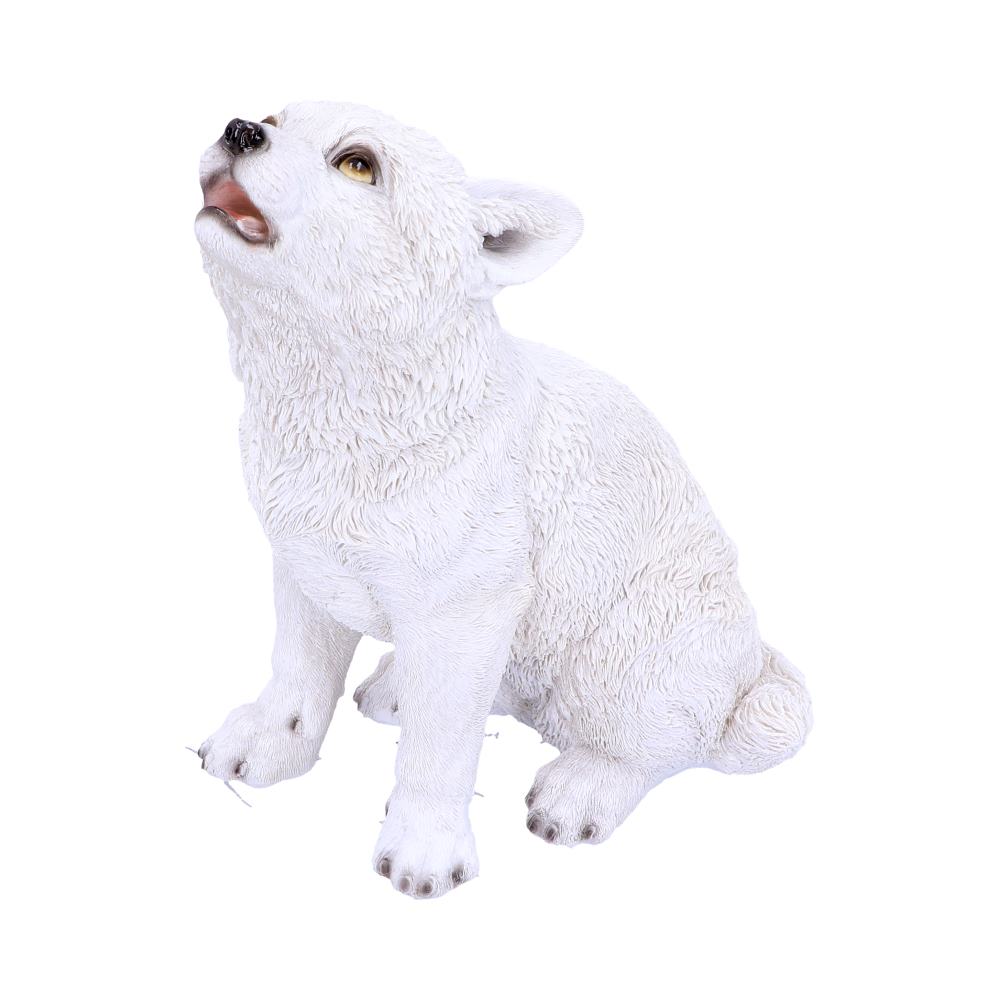 Winters Cry 22.5cm