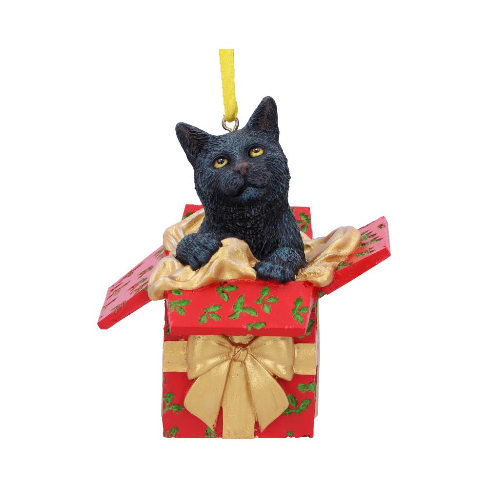 Present Cat Hanging Ornament by Lisa Parker
