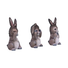 Load image into Gallery viewer, Three Wise Donkeys 11cm
