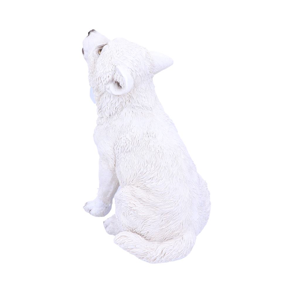 Winters Cry 22.5cm