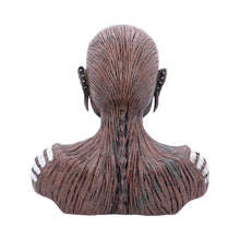 Load image into Gallery viewer, Iron Maiden The Book of Souls Bust Box 26cm
