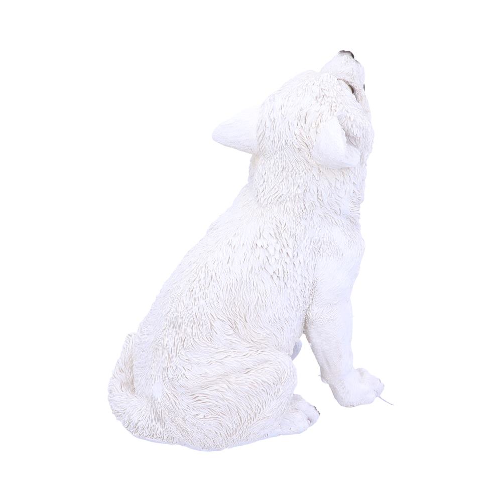 Winters Cry 22.5cm