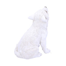 Load image into Gallery viewer, Winters Cry 22.5cm
