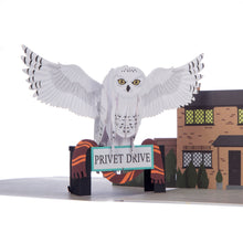Load image into Gallery viewer, Harry Potter Hedwig Pop Up Card
