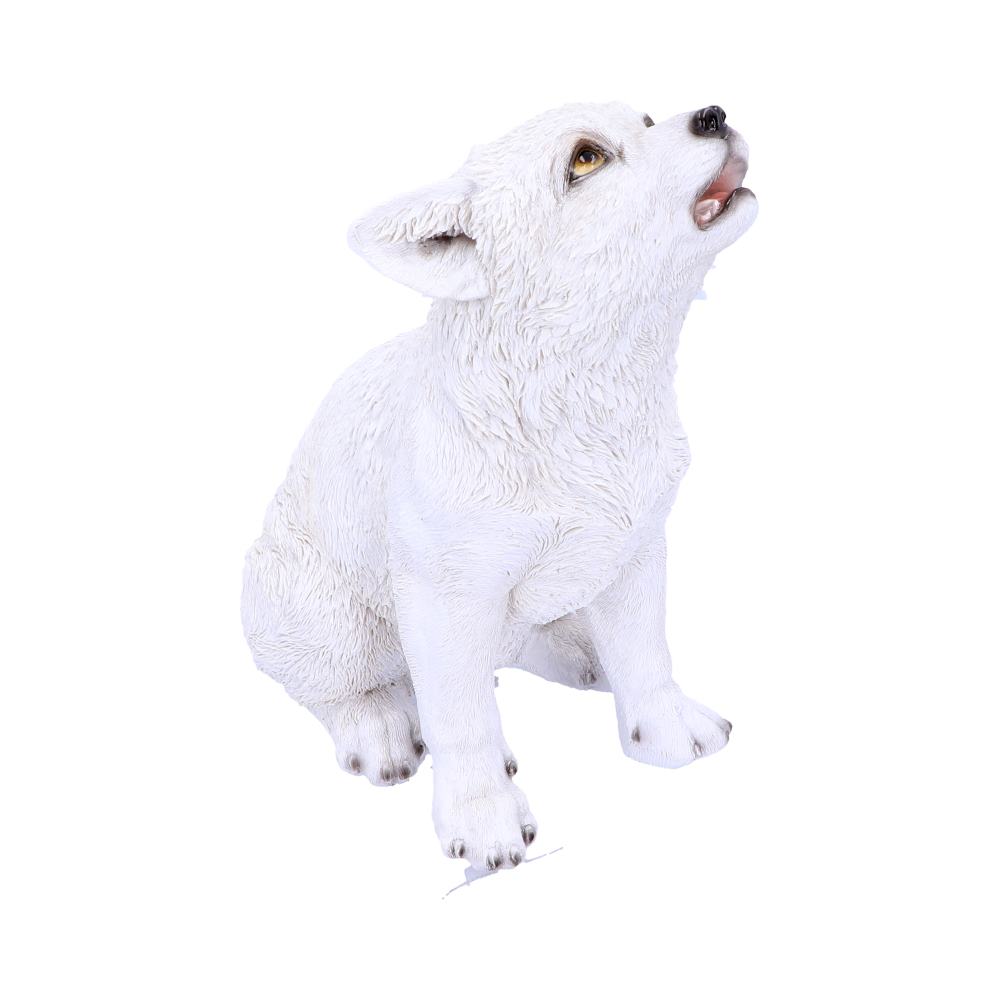 Winters Cry 22.5cm