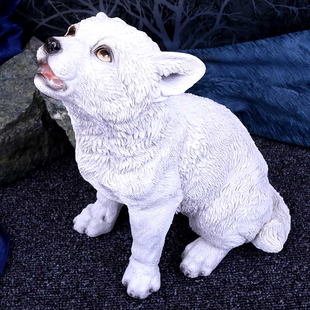 Winters Cry 22.5cm