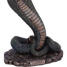 Load image into Gallery viewer, Medusa&#39;s Wrath 36cm
