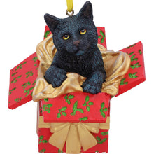 Load image into Gallery viewer, Present Cat Hanging Ornament by Lisa Parker
