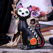 Load image into Gallery viewer, Sugar Kitty 26cm
