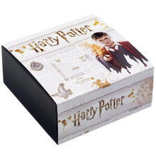 Load image into Gallery viewer, Harry Potter Embellished with Crystals Flying Key Necklace
